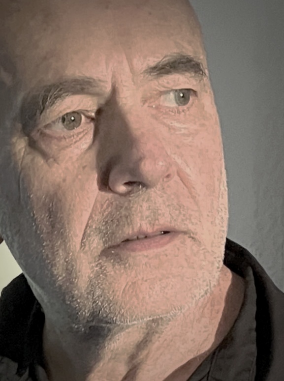 Felix Perdino, Autor